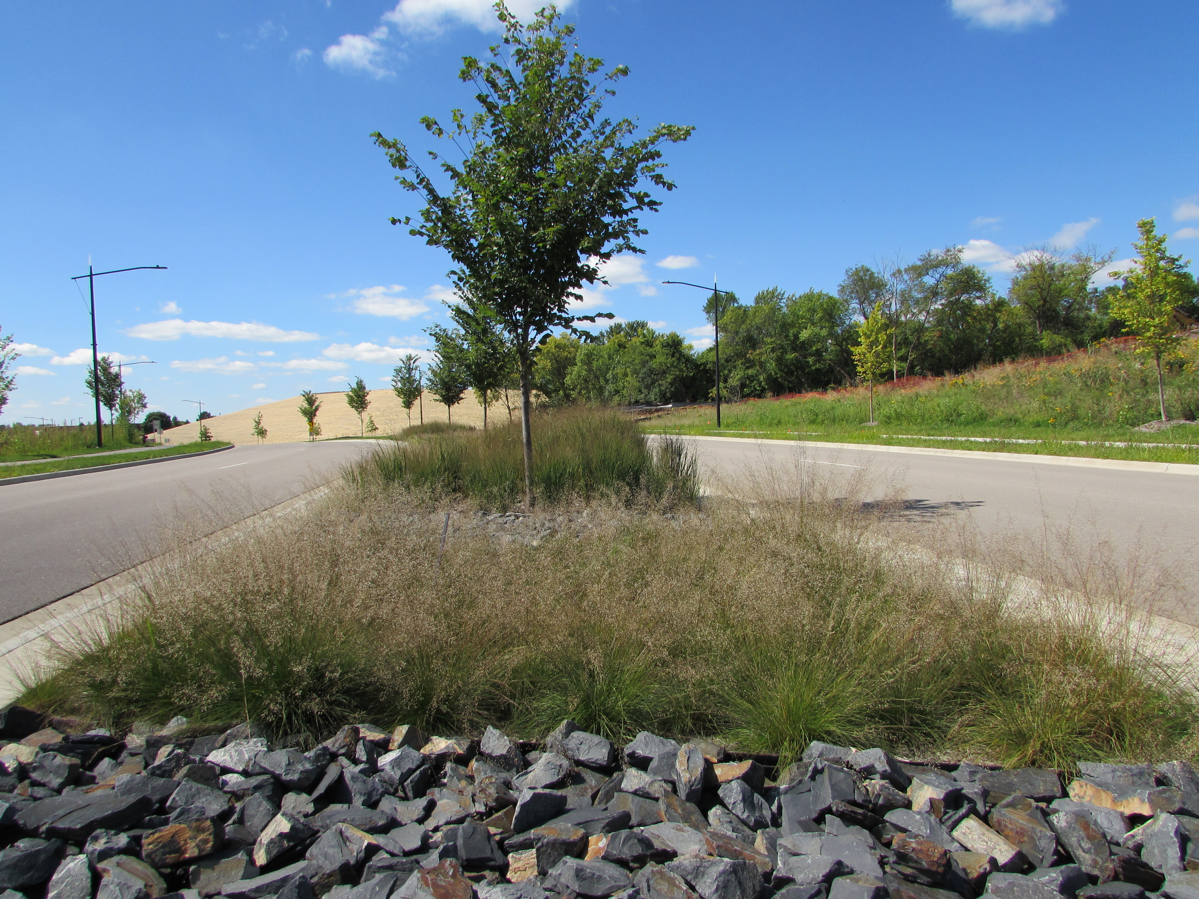 Vikings Parkway Landscape